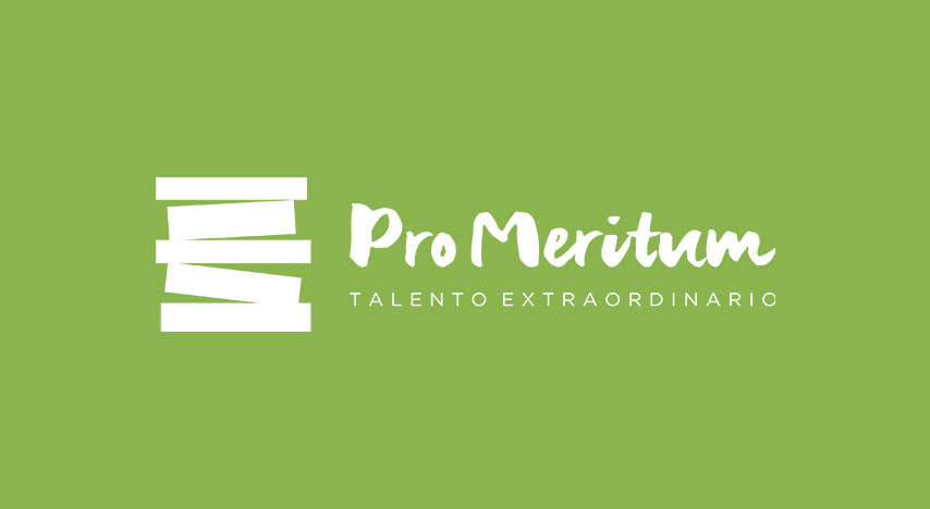 Pro Meritum 1