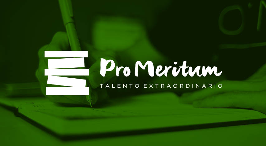 Pro Meritum 2